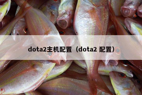 dota2主机配置（dota2 配置）