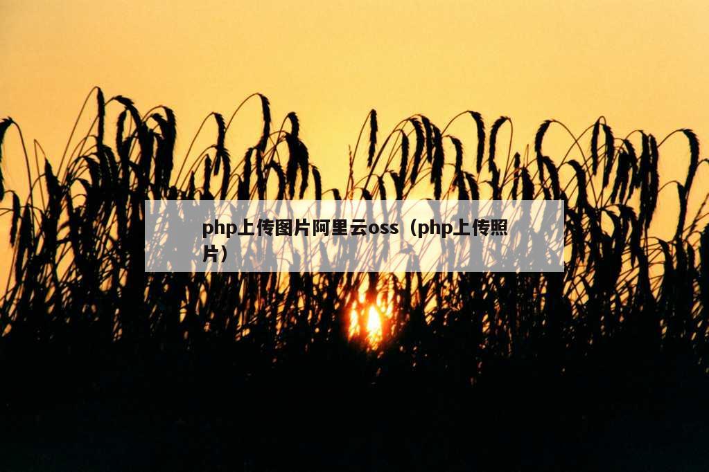 php上传图片阿里云oss（php上传照片）