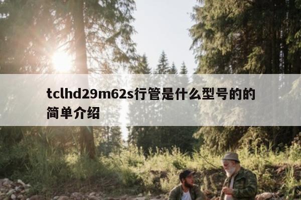 tclhd29m62s行管是什么型号的的简单介绍