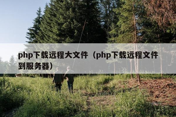 php下载远程大文件（php下载远程文件到服务器）