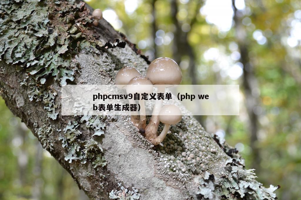 phpcmsv9自定义表单（php web表单生成器）