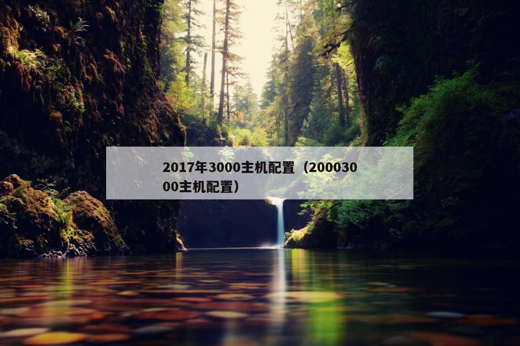 2017年3000主机配置（20003000主机配置）