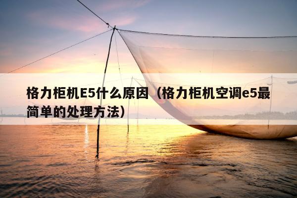 格力柜机E5什么原因（格力柜机空调e5最简单的处理方法）