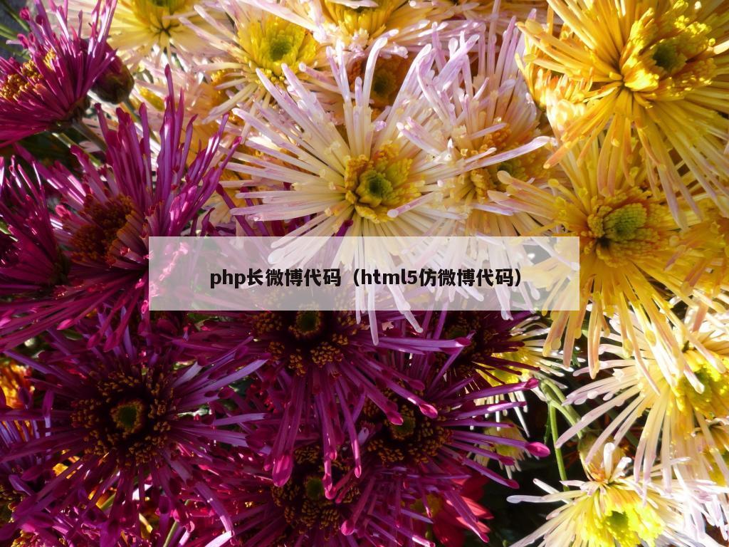 php长微博代码（html5仿微博代码）