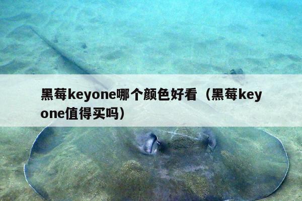 黑莓keyone哪个颜色好看（黑莓keyone值得买吗）