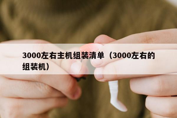 3000左右主机组装清单（3000左右的组装机）