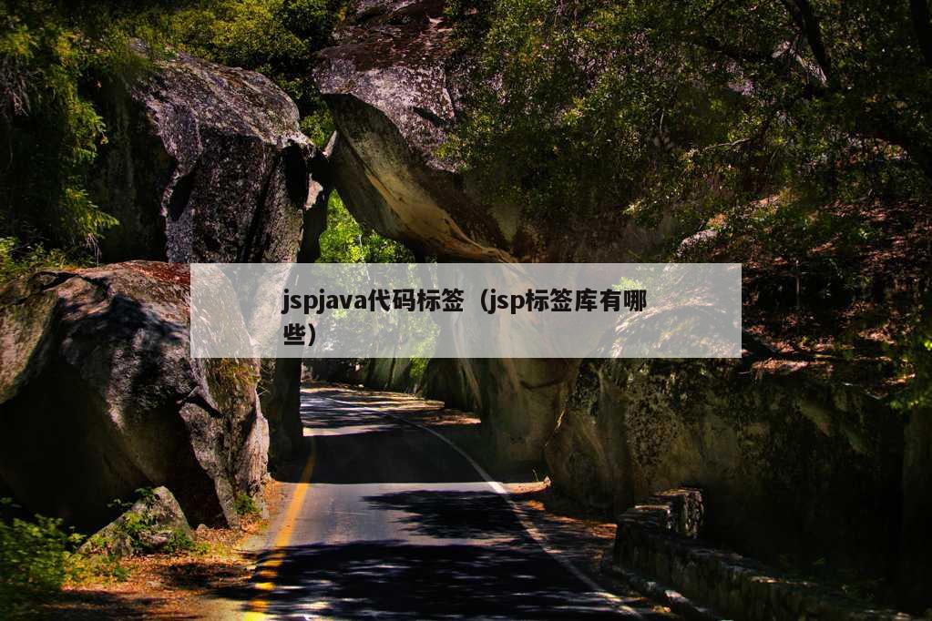 jspjava代码标签（jsp标签库有哪些）