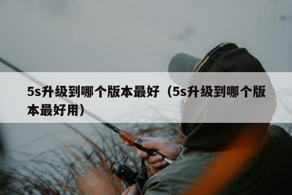 5s升级到哪个版本最好（5s升级到哪个版本最好用）