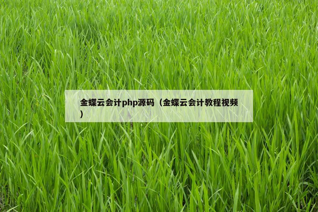 金蝶云会计php源码（金蝶云会计教程视频）