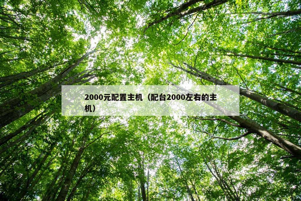 2000元配置主机（配台2000左右的主机）