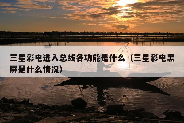 三星彩电进入总线各功能是什么（三星彩电黑屏是什么情况）