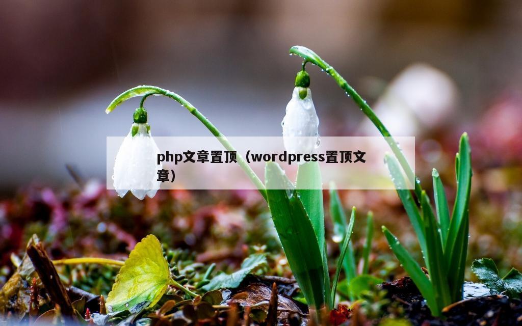 php文章置顶（wordpress置顶文章）