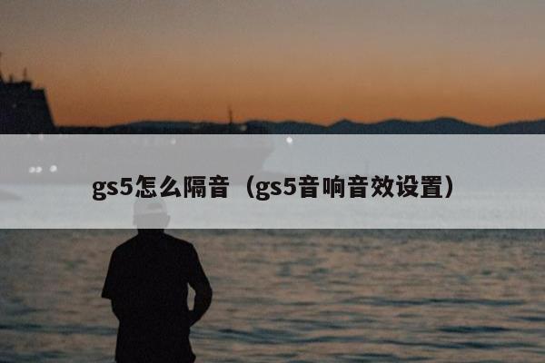 gs5怎么隔音（gs5音响音效设置）