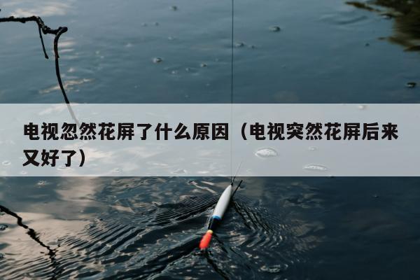 电视忽然花屏了什么原因（电视突然花屏后来又好了）