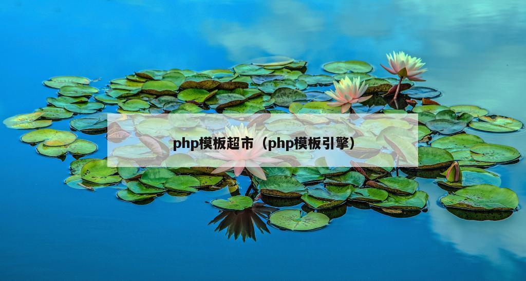 php模板超市（php模板引擎）