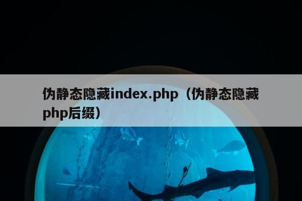 伪静态隐藏index.php（伪静态隐藏php后缀）