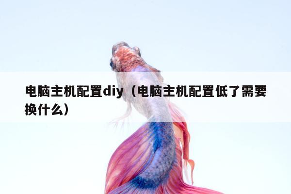 电脑主机配置diy（电脑主机配置低了需要换什么）