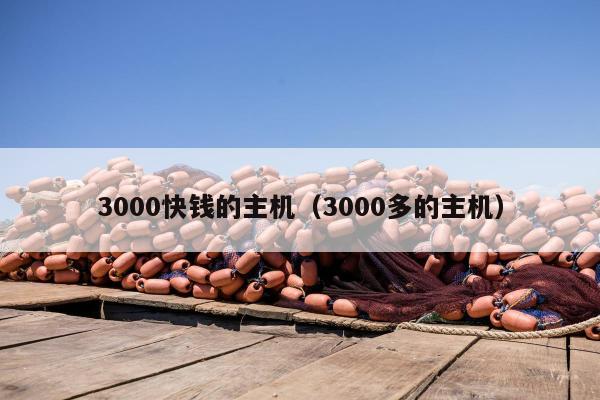 3000快钱的主机（3000多的主机）