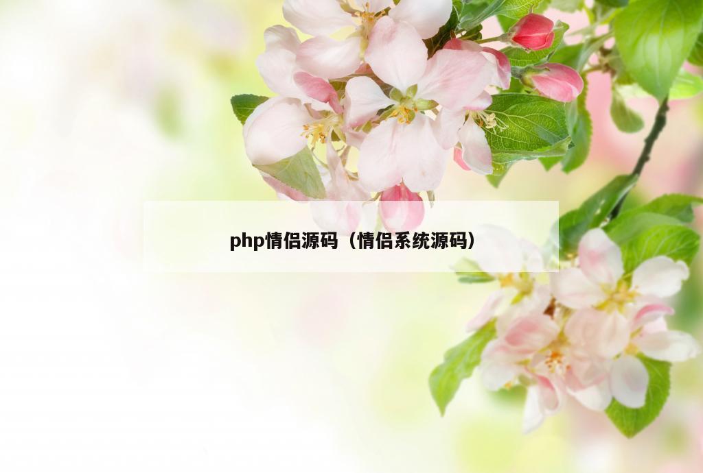 php情侣源码（情侣系统源码）