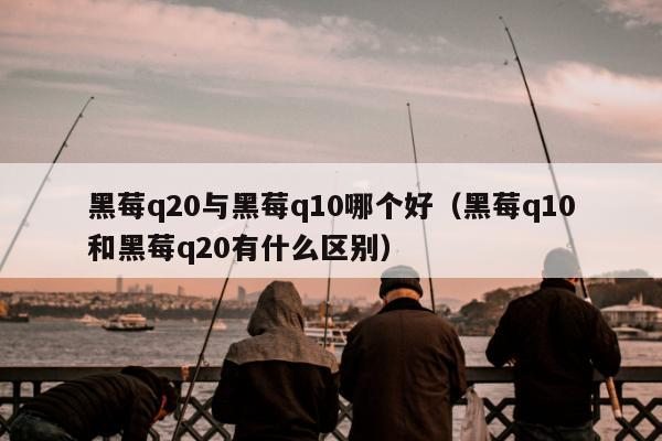 黑莓q20与黑莓q10哪个好（黑莓q10和黑莓q20有什么区别）