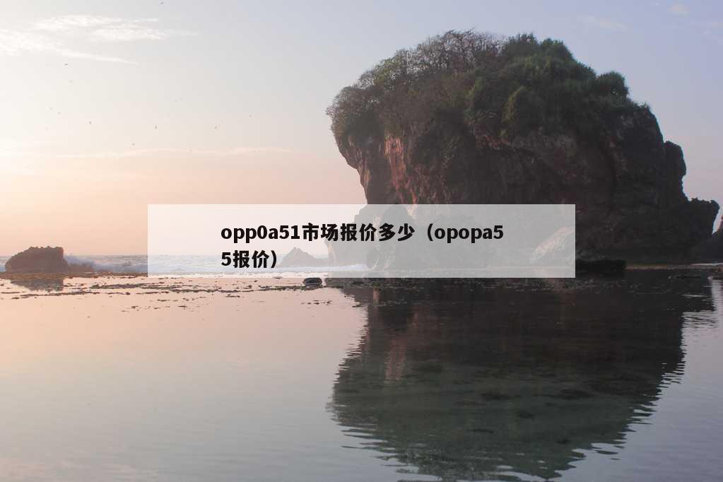 opp0a51市场报价多少（opopa55报价）