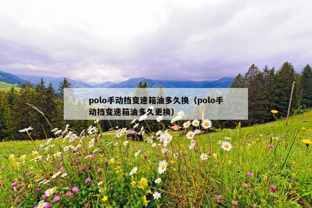 polo手动挡变速箱油多久换（polo手动挡变速箱油多久更换）