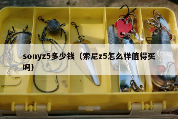 sonyz5多少钱（索尼z5怎么样值得买吗）