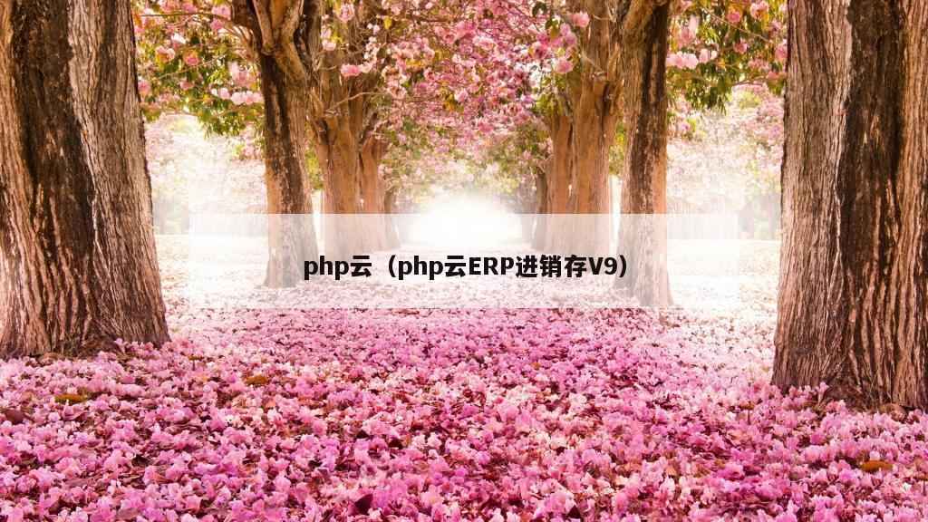 php云（php云ERP进销存V9）