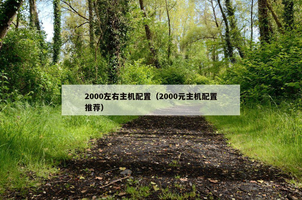 2000左右主机配置（2000元主机配置推荐）