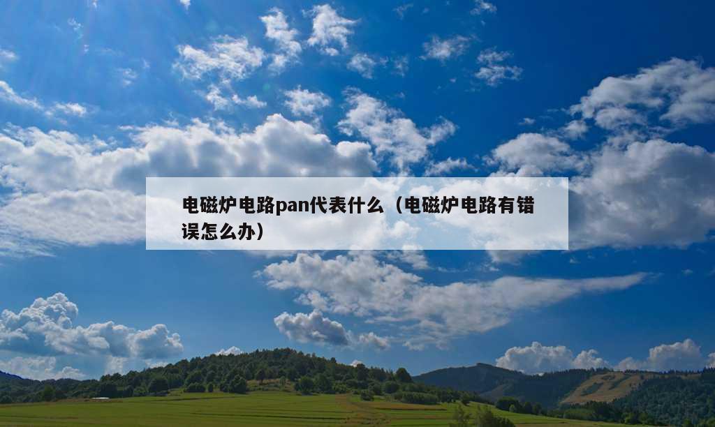 电磁炉电路pan代表什么（电磁炉电路有错误怎么办）