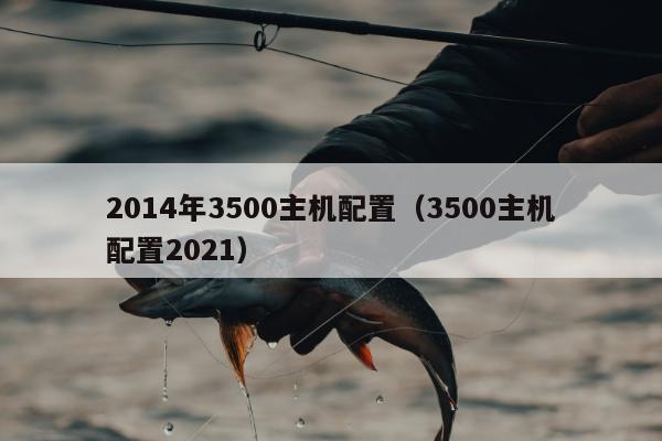 2014年3500主机配置（3500主机配置2021）