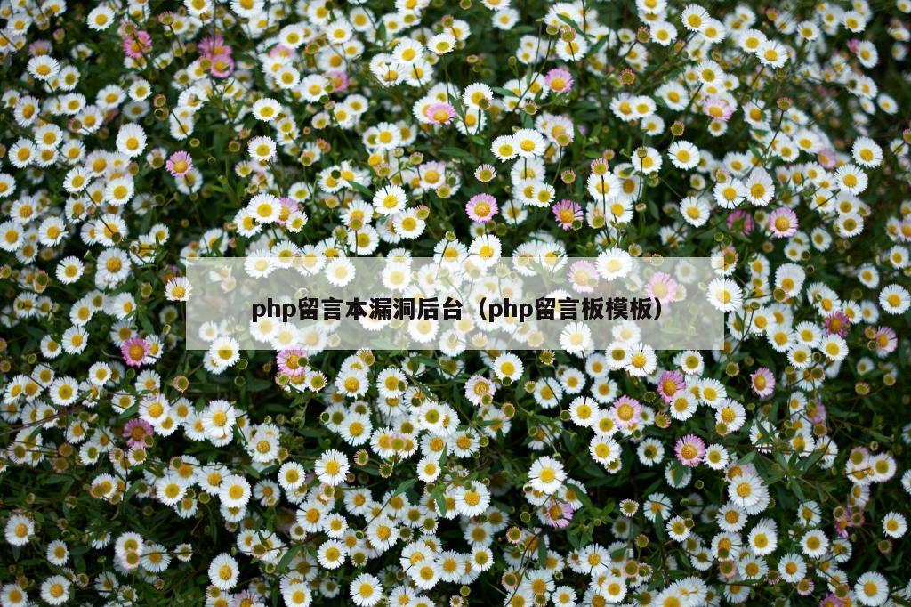 php留言本漏洞后台（php留言板模板）