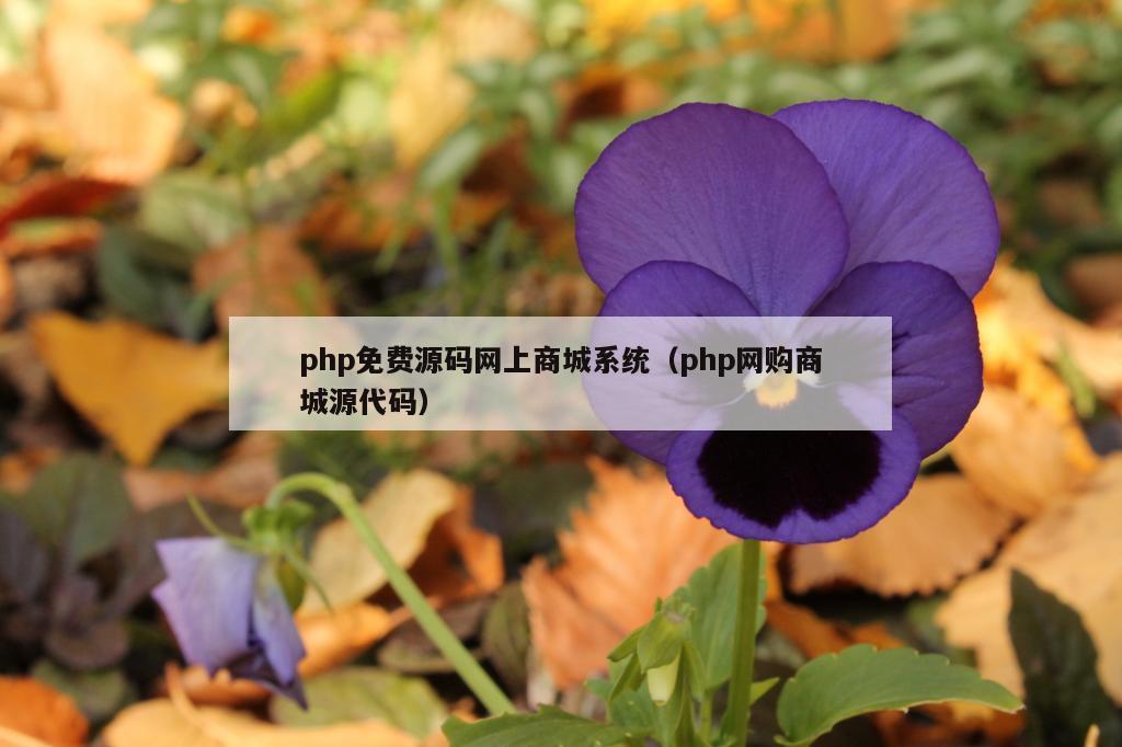 php免费源码网上商城系统（php网购商城源代码）