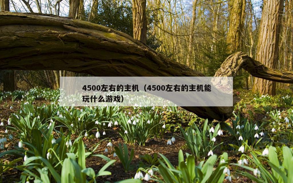 4500左右的主机（4500左右的主机能玩什么游戏）