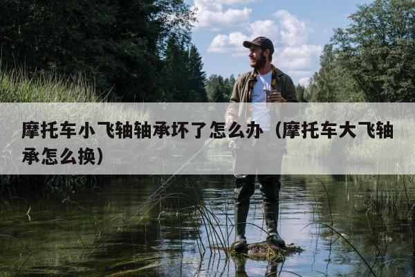 摩托车小飞轴轴承坏了怎么办（摩托车大飞轴承怎么换）