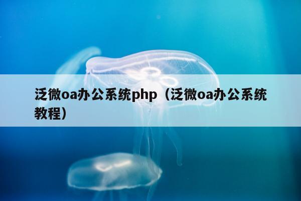 泛微oa办公系统php（泛微oa办公系统教程）