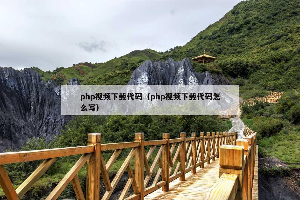 php视频下载代码（php视频下载代码怎么写）