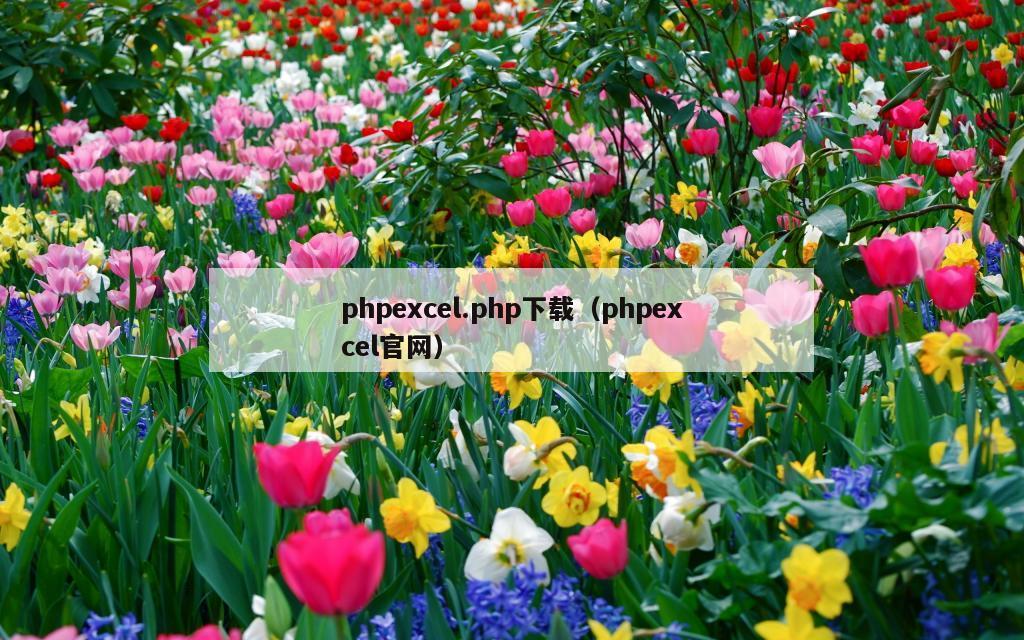 phpexcel.php下载（phpexcel官网）