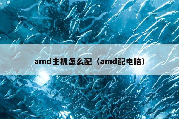 amd主机怎么配（amd配电脑）