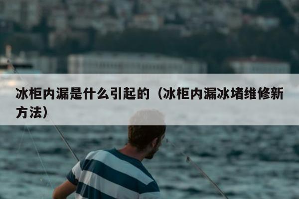 冰柜内漏是什么引起的（冰柜内漏冰堵维修新方法）