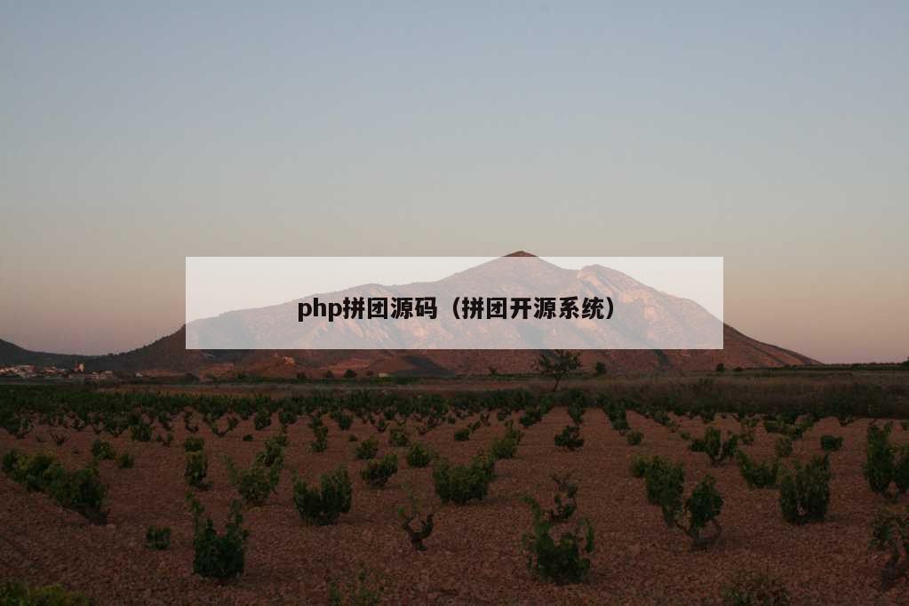 php拼团源码（拼团开源系统）