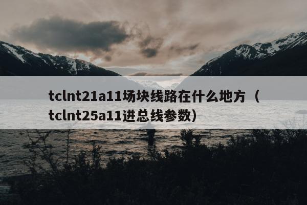 tclnt21a11场块线路在什么地方（tclnt25a11进总线参数）