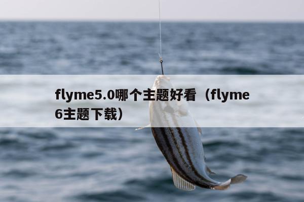 flyme5.0哪个主题好看（flyme6主题下载）