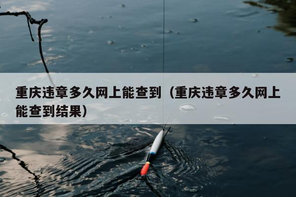 重庆违章多久网上能查到（重庆违章多久网上能查到结果）