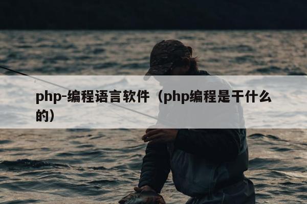 php-编程语言软件（php编程是干什么的）