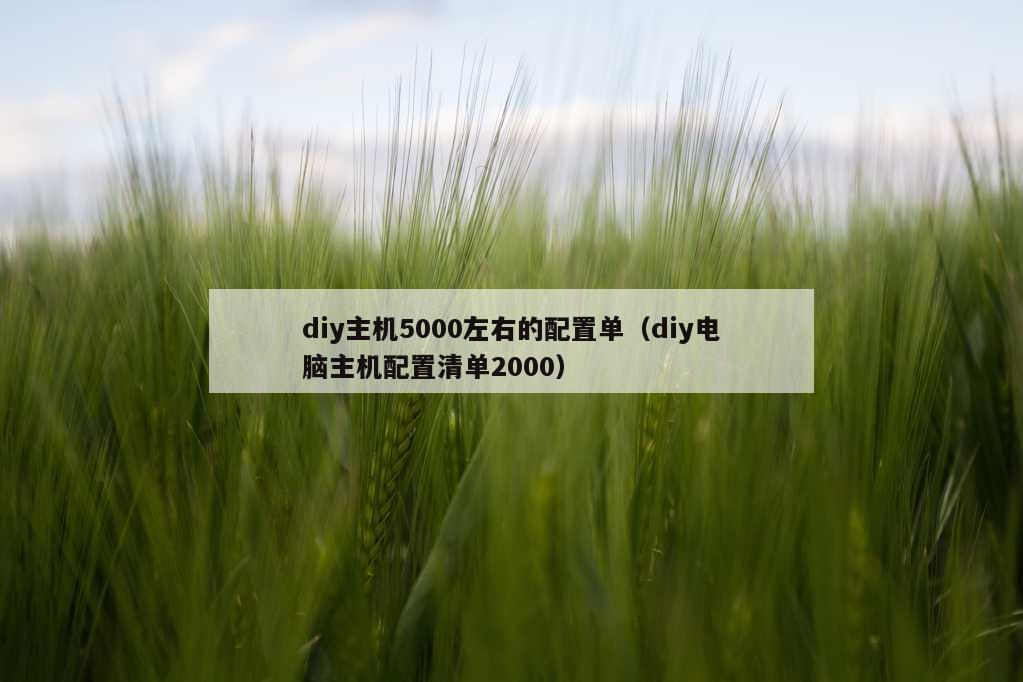 diy主机5000左右的配置单（diy电脑主机配置清单2000）