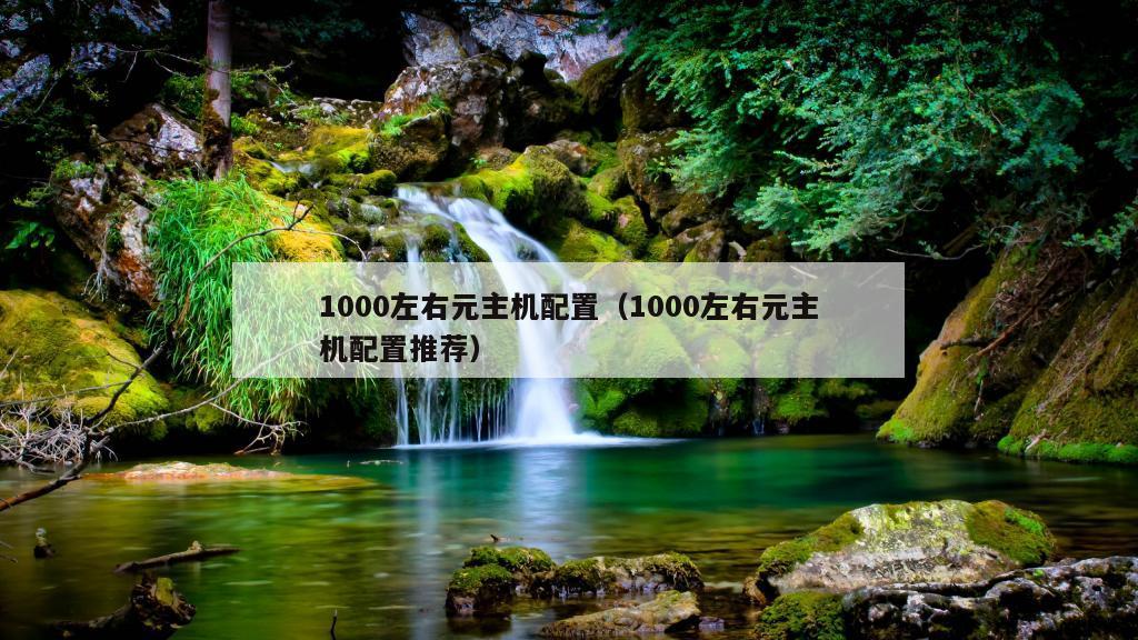 1000左右元主机配置（1000左右元主机配置推荐）