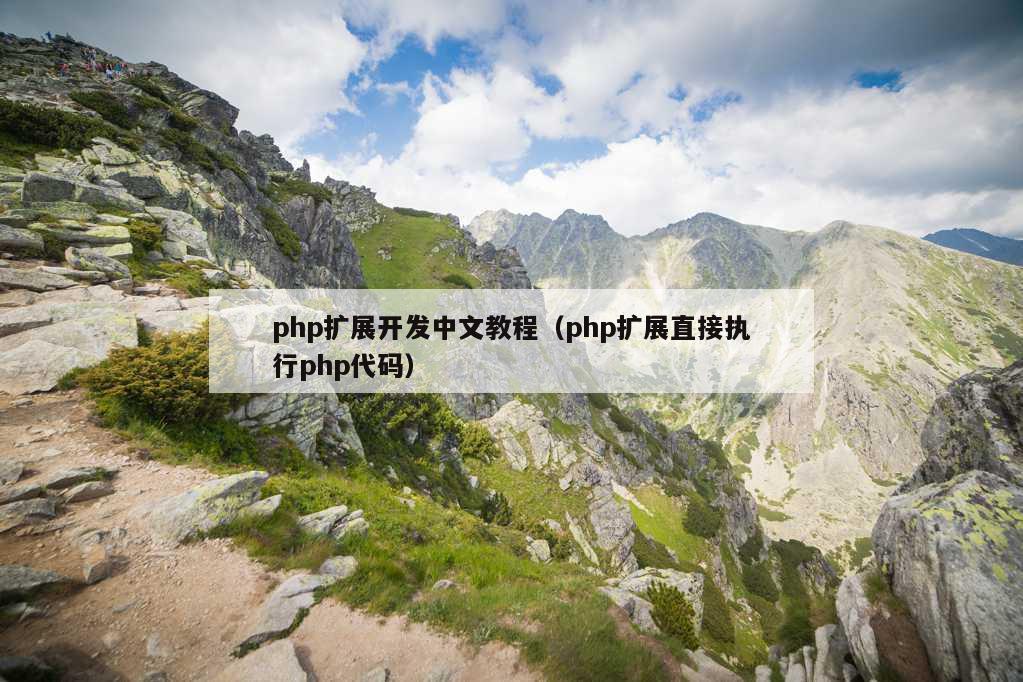 php扩展开发中文教程（php扩展直接执行php代码）