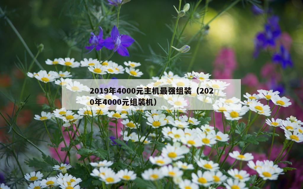 2019年4000元主机最强组装（2020年4000元组装机）