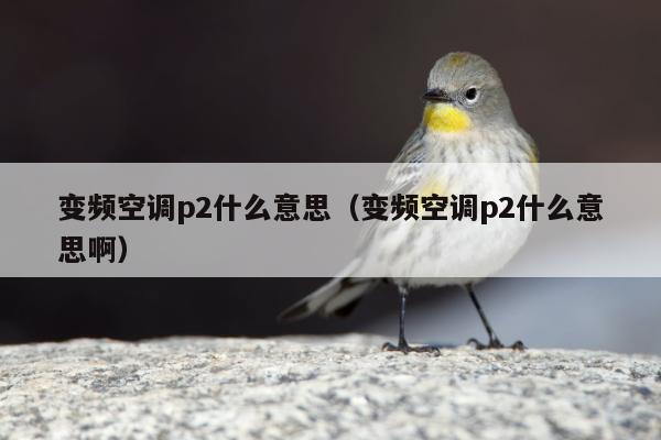 变频空调p2什么意思（变频空调p2什么意思啊）